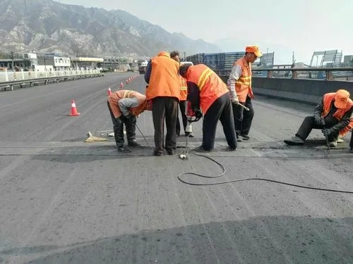 九龙坡道路桥梁病害治理